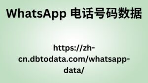 WhatsApp 电话号码数据