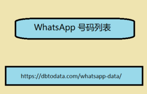 WhatsApp 号码列表